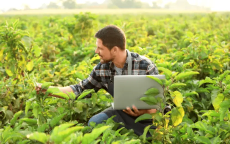 22 de febrero: México celebra el Día del Agrónomo y su legado en el campo