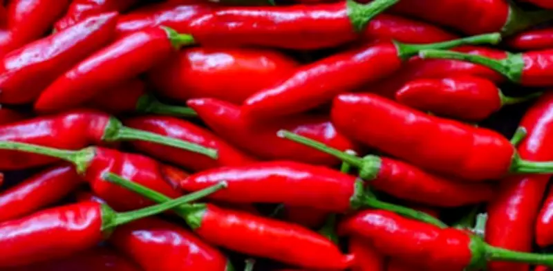 4 Remedios Naturales Efectivos para Combatir la Acidez Estomacal