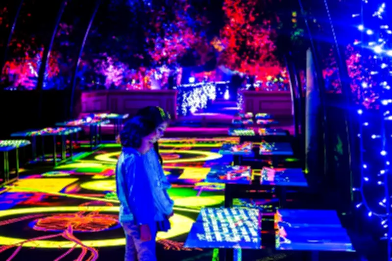 5 Experiencias Inmersivas que Debes Vivir en la Ciudad de México