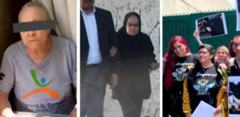 Abuela 'Mataperros' de Coyoacán Libra Otra Audiencia; Temen Castigo Leve por Compasión