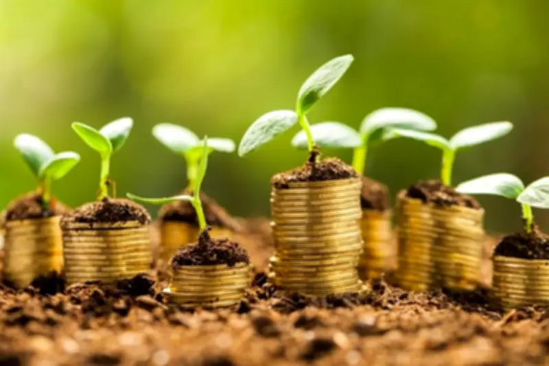 Active Leasing apuesta por la reapertura del bono en el mercado financiero mexicano