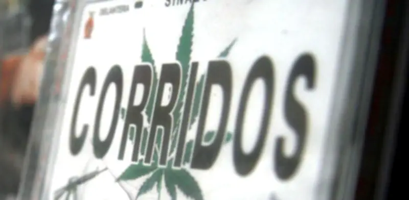 Activistas exigen frenar glorificación del narco en música y redes sociales