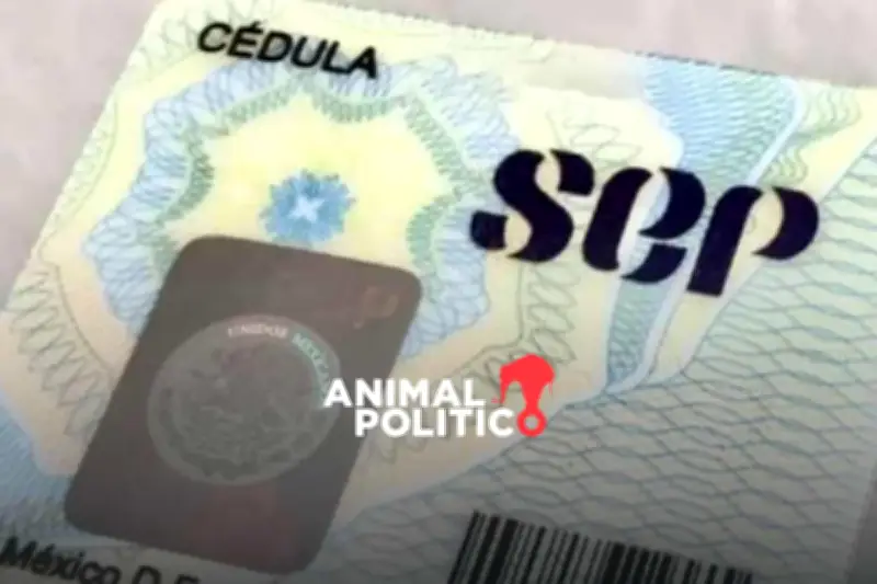 Adiós a la cédula profesional: SEP implementa nueva identificación oficial digital