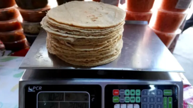 Adultos mayores acceden a descuentos de hasta 50% en tortillerías con credencial Inapam