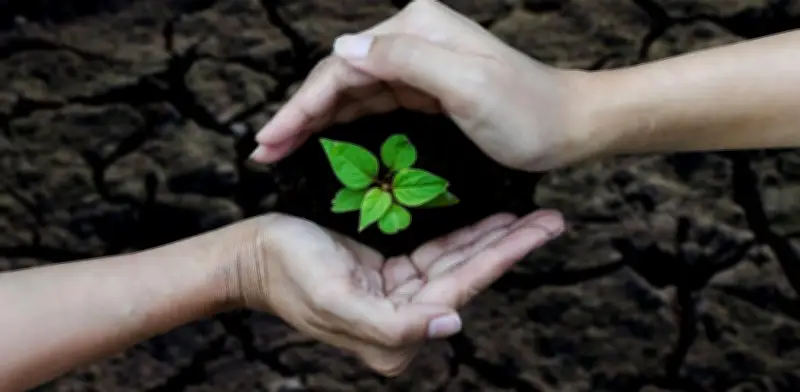 AJEMEX reafirma su compromiso ambiental en el Día Mundial de la Educación Ambiental