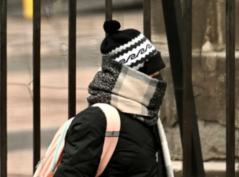 Alerta Roja por frío extremo en CDMX: cinco alcaldías enfrentarán temperaturas bajo cero