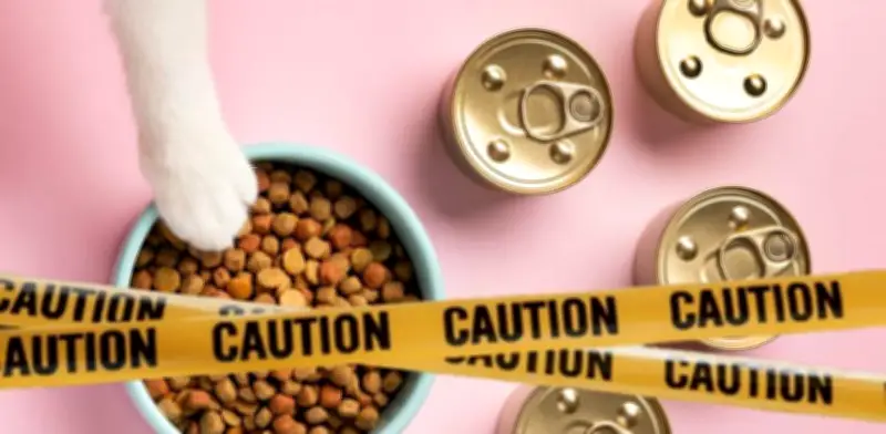 Alerta sanitaria: Retiran comida para gatos por deficiencia de vitamina B1 en Estados Unidos