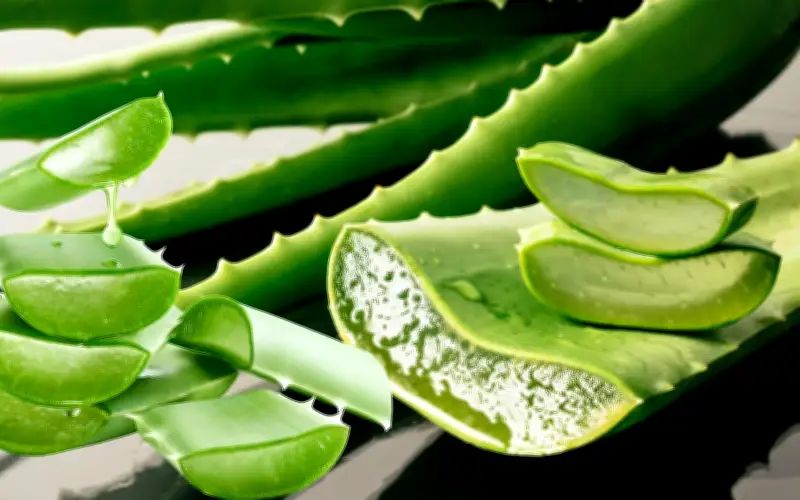 Aloe Vera: El Secreto Natural para Combatir Bolsas Oculares y Rejuvenecer la Mirada