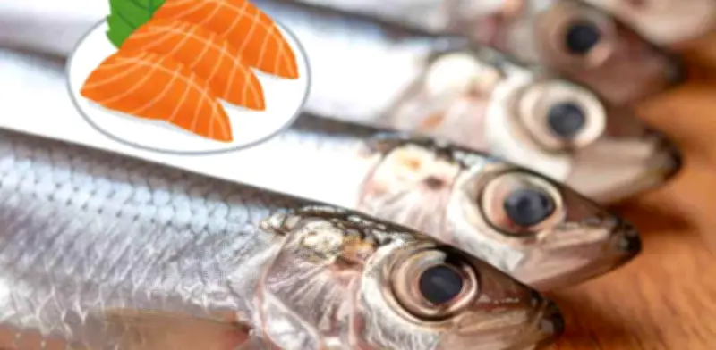 Alternativas al Salmón: 5 Pescados Ricos en Omega-3 para Tu Salud y Economía