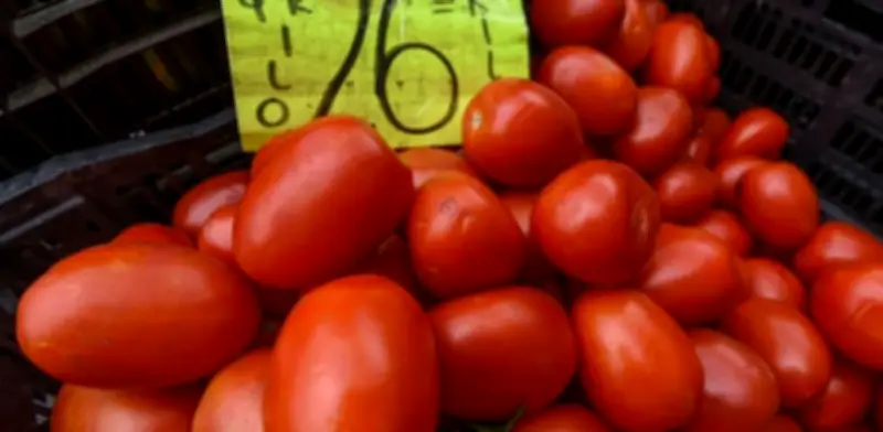 Alza histórica del jitomate: clima, bloqueos y menor producción disparan precios