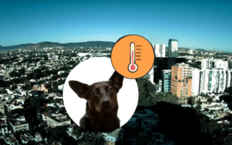 Anticiclón afecta el clima de Guadalajara: pronóstico detallado para hoy