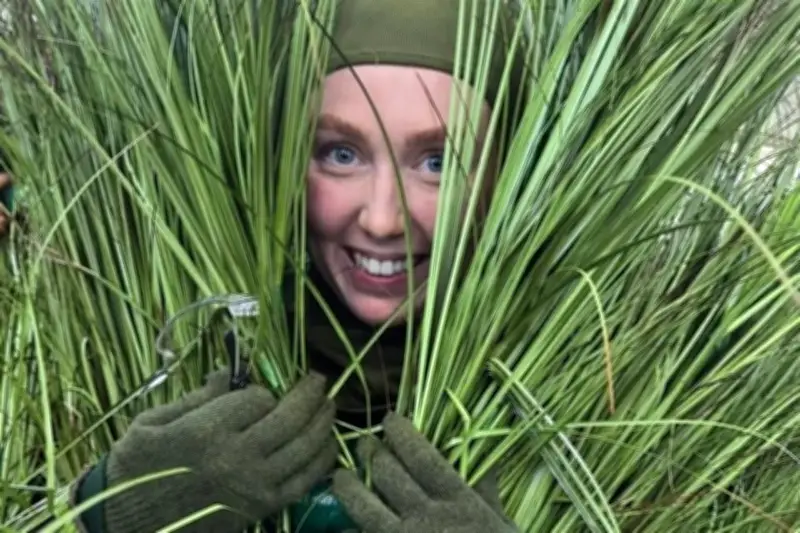 Arbolitos Humanos de Bad Bunny: Ganan Hasta 1,309 Dólares por Día en Conciertos