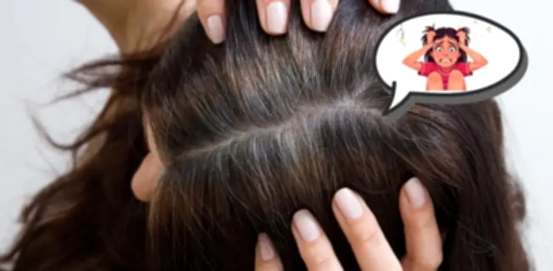 Arrancar una cana puede dañar tu cabello: especialistas advierten riesgos