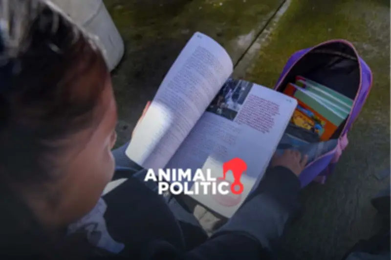 Arriaga de la SEP afirma que libros de texto no se reharán para enriquecer a Marx