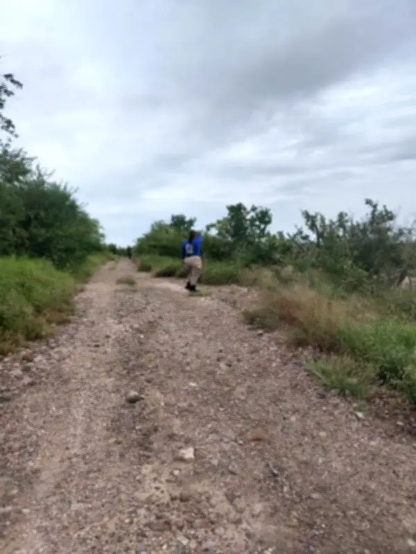 Asesinan a madre buscadora Rubí Patricia Gómez en Mazatlán durante visita de Sheinbaum