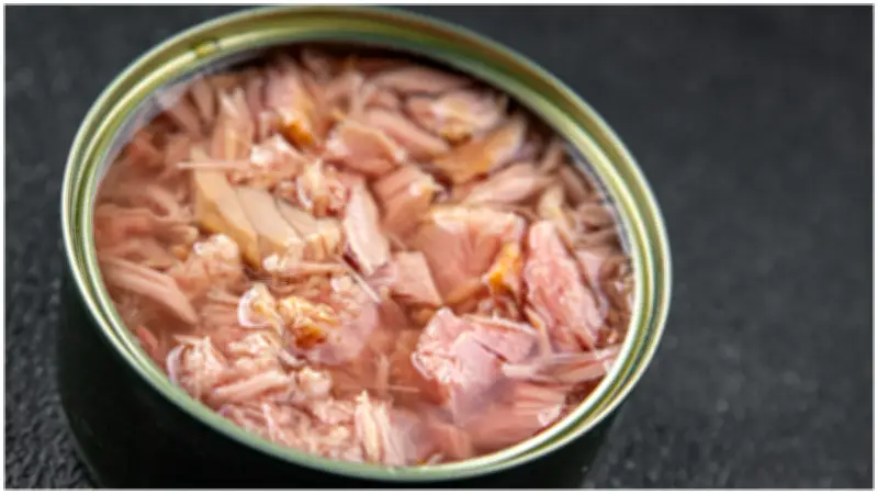 Atún Aleta Amarilla: Mayor Riesgo de Mercurio y Consejos Clave para Consumidores