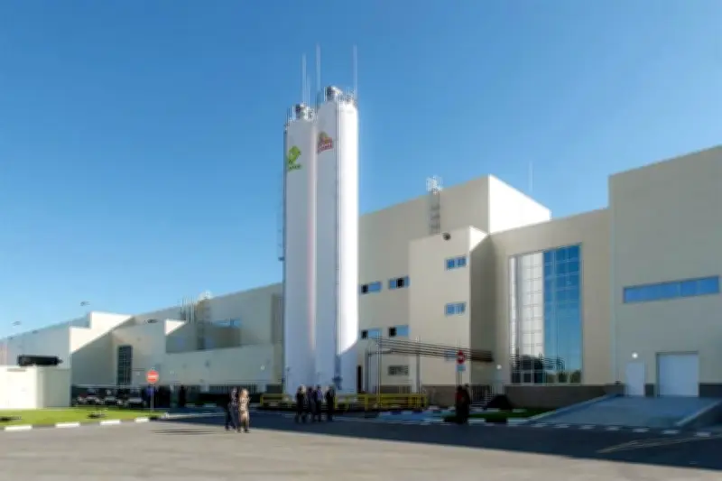 Auditoría a Futuros Contratos de Gruma: Transparencia Empresarial en México