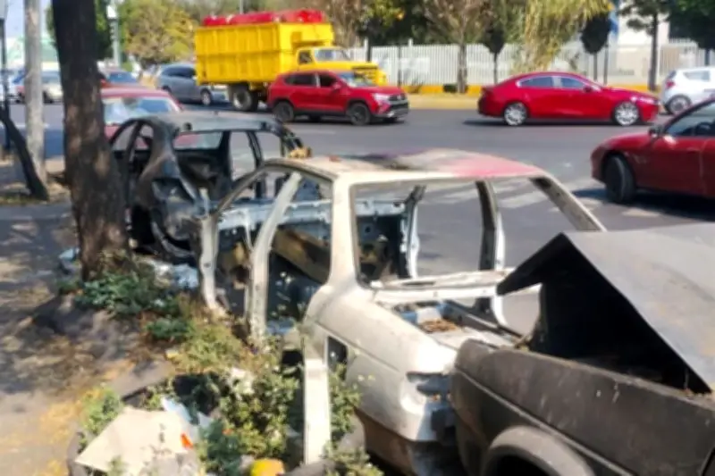 Autopartes aseguradas por la Fiscalía de CDMX permanecen abandonadas en depósitos