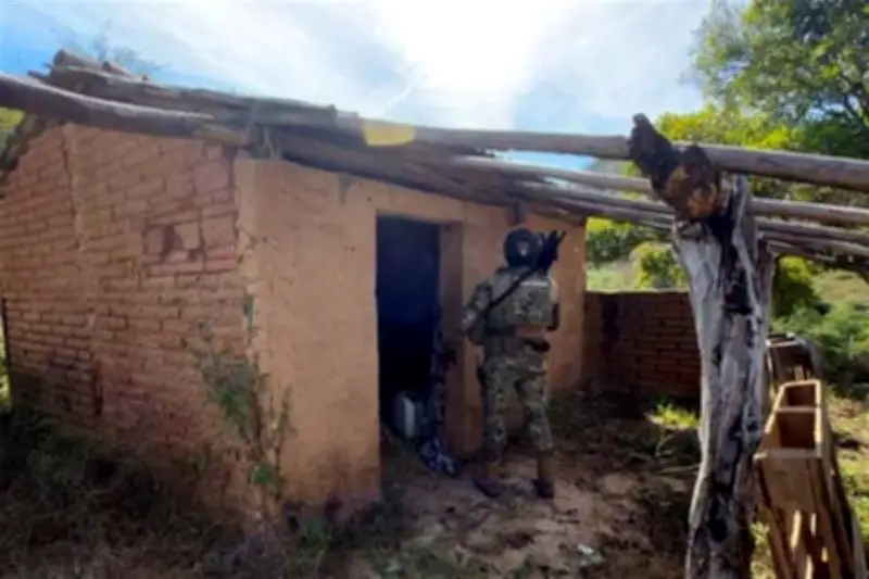 Autoridades descubren nueva fosa clandestina en La Concordia, Sinaloa