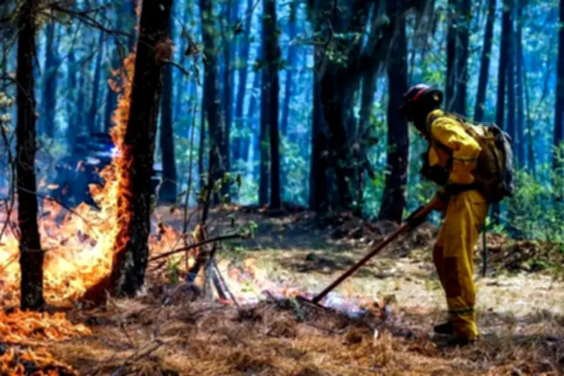 Autoridades Urgen a la Población a Prevenir Incendios Forestales en México