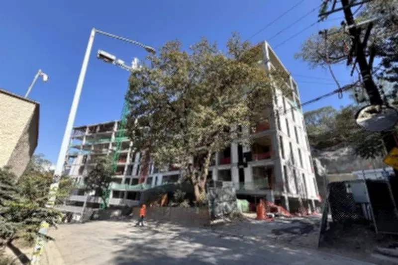 Aval para Edificio en San Pedro Desata Polémica por Impacto Urbano y Social