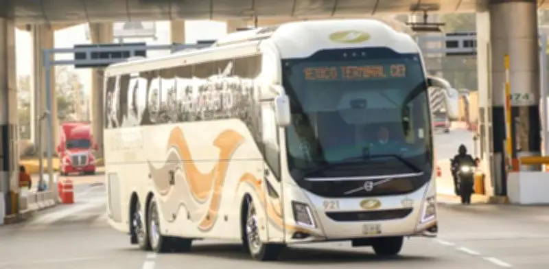 Bloqueos en carreteras: Guía completa para reclamar derechos ante cancelaciones de autobuses