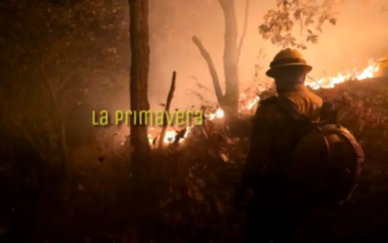 Brigadistas combaten incendios simultáneos en el Bosque de la Primavera y Río Salado en Jalisco