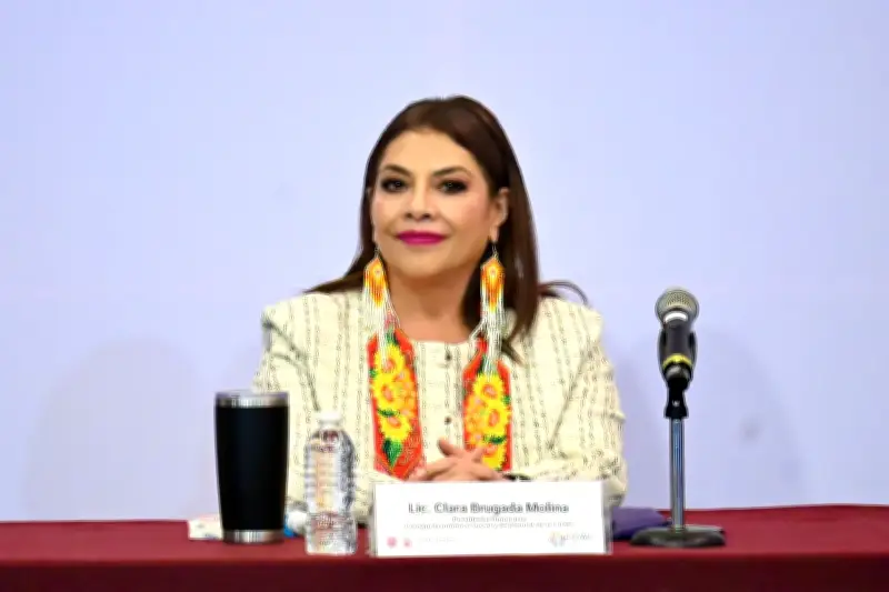 Brugada critica a medios por no cubrir pérdida de suelo de conservación en CDMX