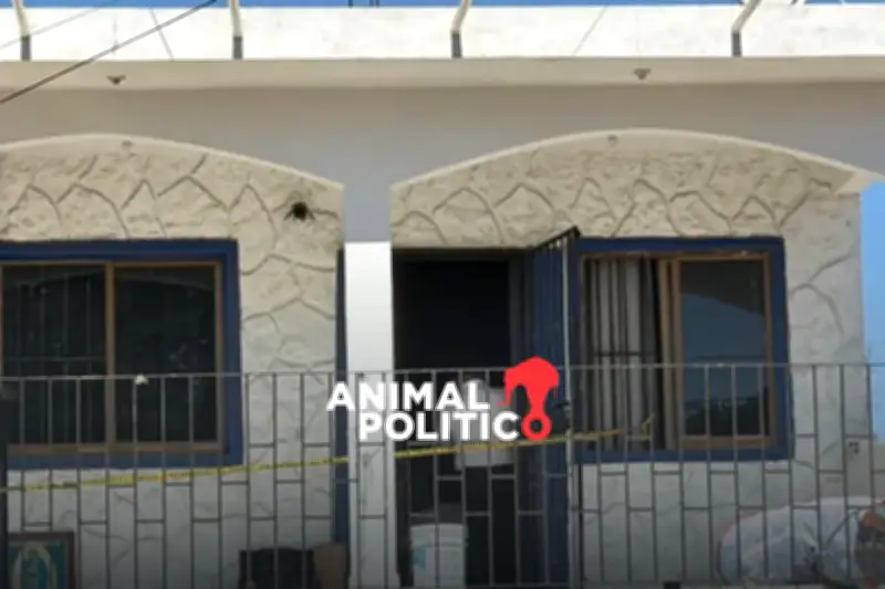 Buscadora de Mazatlán Encontrada Sin Vida: Colectivo Denuncia Impunidad ante Sheinbaum