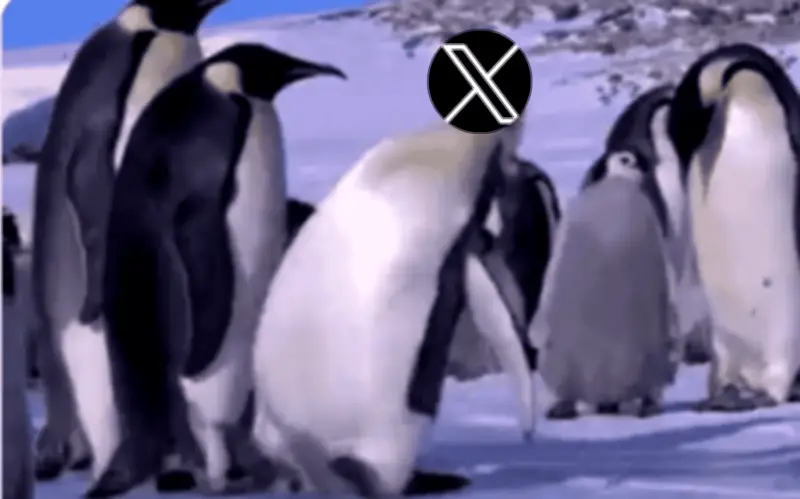 Caída global de X desata ola de memes y revela dependencia de usuarios
