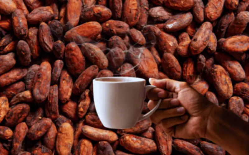 Café y Cacao: La Combinación Perfecta para Combatir el Envejecimiento y Mejorar la Salud
