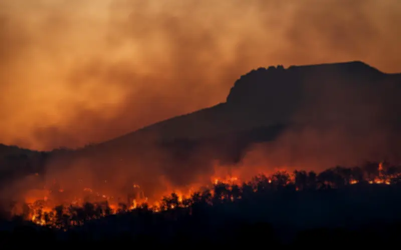 Cambio climático triplica riesgo de megaincendios en Chile según estudio internacional