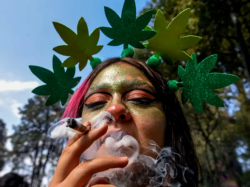 Cannabis en la adolescencia duplica riesgo de trastornos psiquiátricos en la adultez