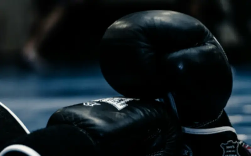 Cartelera de Boxeo Hoy: Mosqueda vs Nieblas en Duelo Estelar por Oportunidad Titular