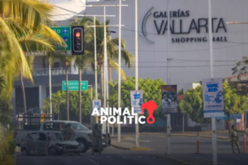 Carteles mexicanos generan graves consecuencias en Estados Unidos