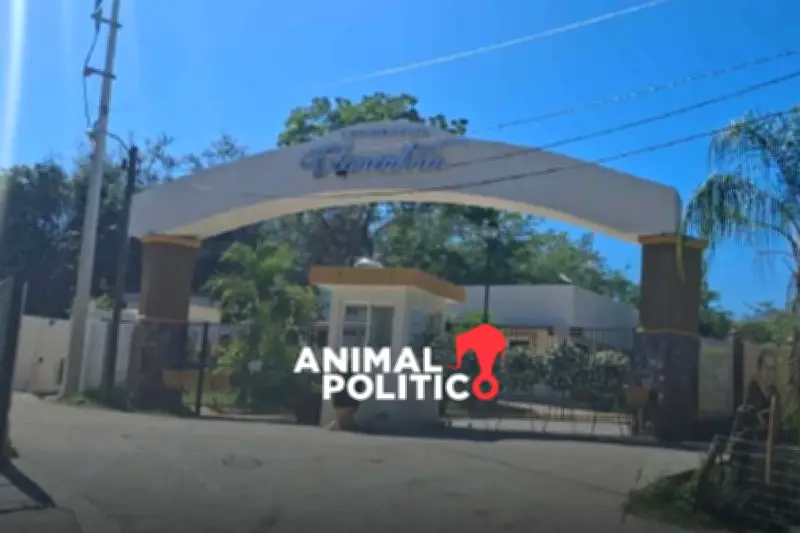 Caso Mineros Concordia: Testigos Revelan que Otros Cuatro Ya los Traían