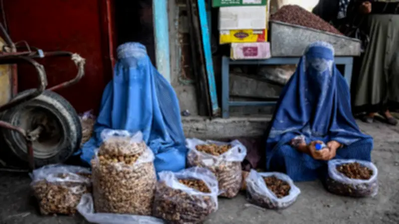 Código Talibán minimiza violencia doméstica contra mujeres con sanciones menores que por maltrato animal