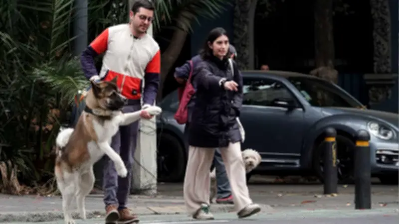 CDMX y Edomex enfrentan contraste térmico: frío matutino y tarde cálida sin lluvias
