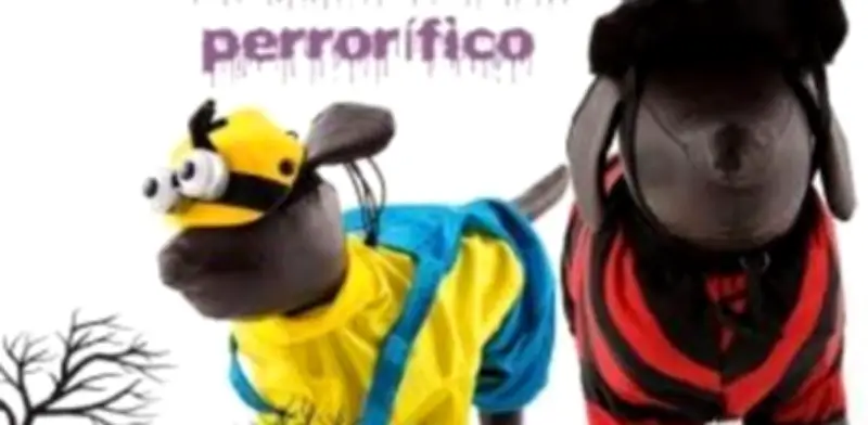 Celebra un Halloween 'Perrorífico' con tu Mascota y Descubre las Tradiciones del Día de Muertos