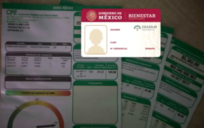 CFE e INAPAM aclaran: No hay descuento automático del 50% en luz para adultos mayores