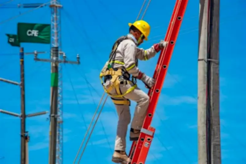 CFE Reporta Ganancia Neta Histórica de 139 Mil Millones de Pesos en 2023