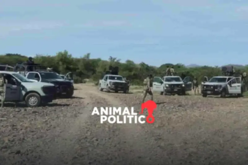 Cinco Mineros Desaparecen en Sinaloa: Empresa Vizsla Silver en el Ojo del Huracán