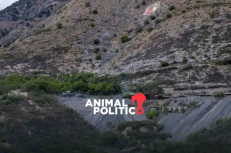 CJNG expande crimen a tala y minería ilegal tras muerte de 'El Mencho'