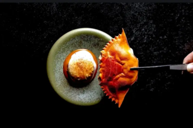 Cocinar sin contaminar: la nueva tendencia culinaria que cuida el medio ambiente