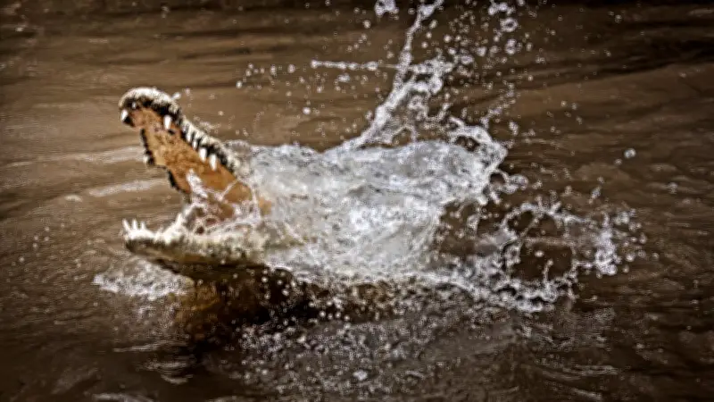 Cocodrilo de 4 metros devora a mujer en Indonesia; video causa terror en redes