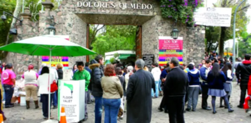 Colectivo anuncia victoria: Cancelan traslado del Museo Dolores Olmedo a Chapultepec