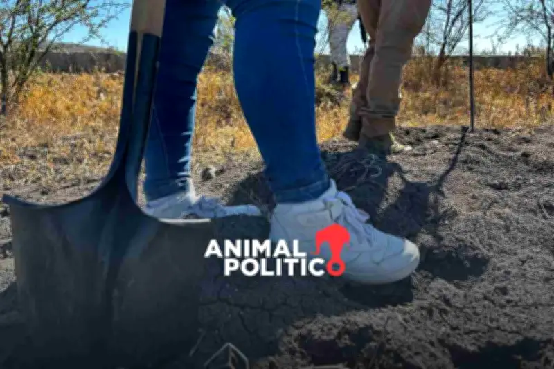 Colectivo Hasta Encontrarte suspende búsquedas de desaparecidos en Irapuato, Guanajuato