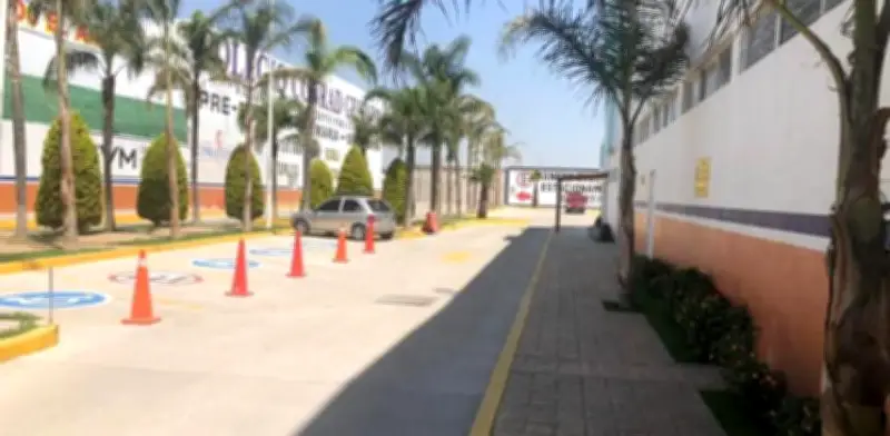 Colegio Conrad Gessner colabora con autoridades tras señalamientos contra excolaborador