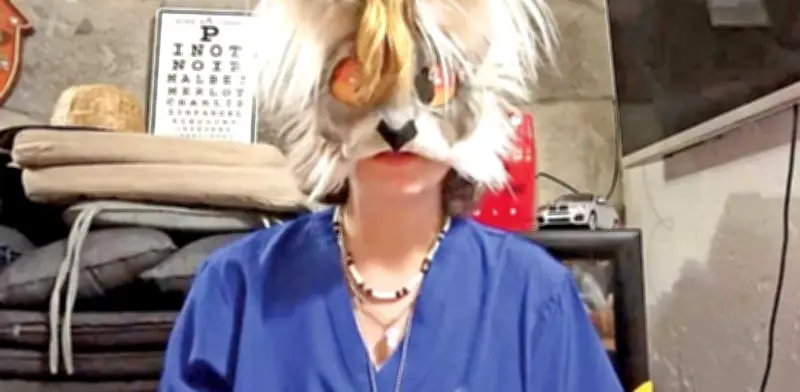 Comunidad Therian en México: Amenazas de Muerte y Odio en Redes Sociales