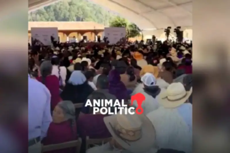 Comunidades Indígenas de Chiapas Defienden Territorio en Sesión Histórica de la Corte